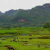 pu-luong-village-trek-in-Vietnam-cover-fnd_950px