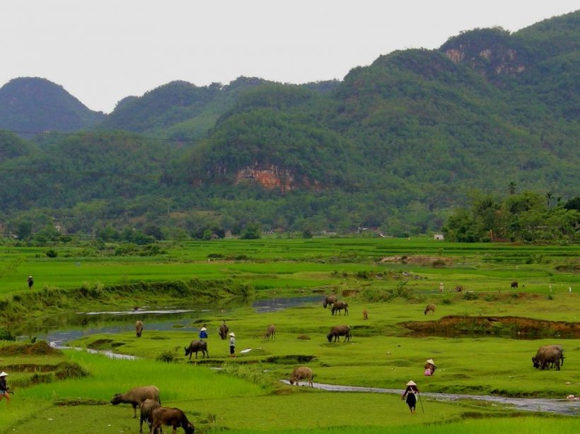 pu-luong-village-trek-in-Vietnam-cover-fnd_950px