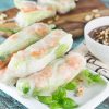 vietnamese-spring-rolls-goi-cuon-3
